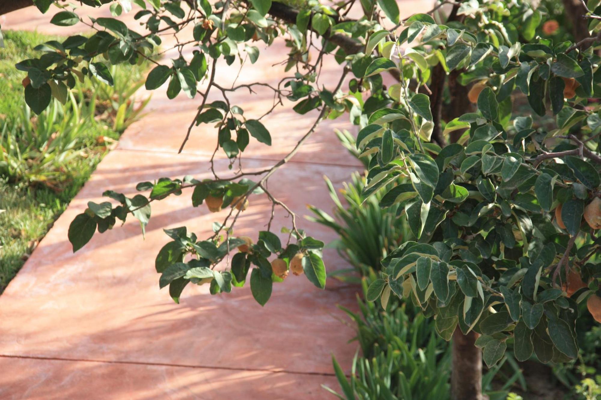 Villa Quince Ouirgane Dış mekan fotoğraf