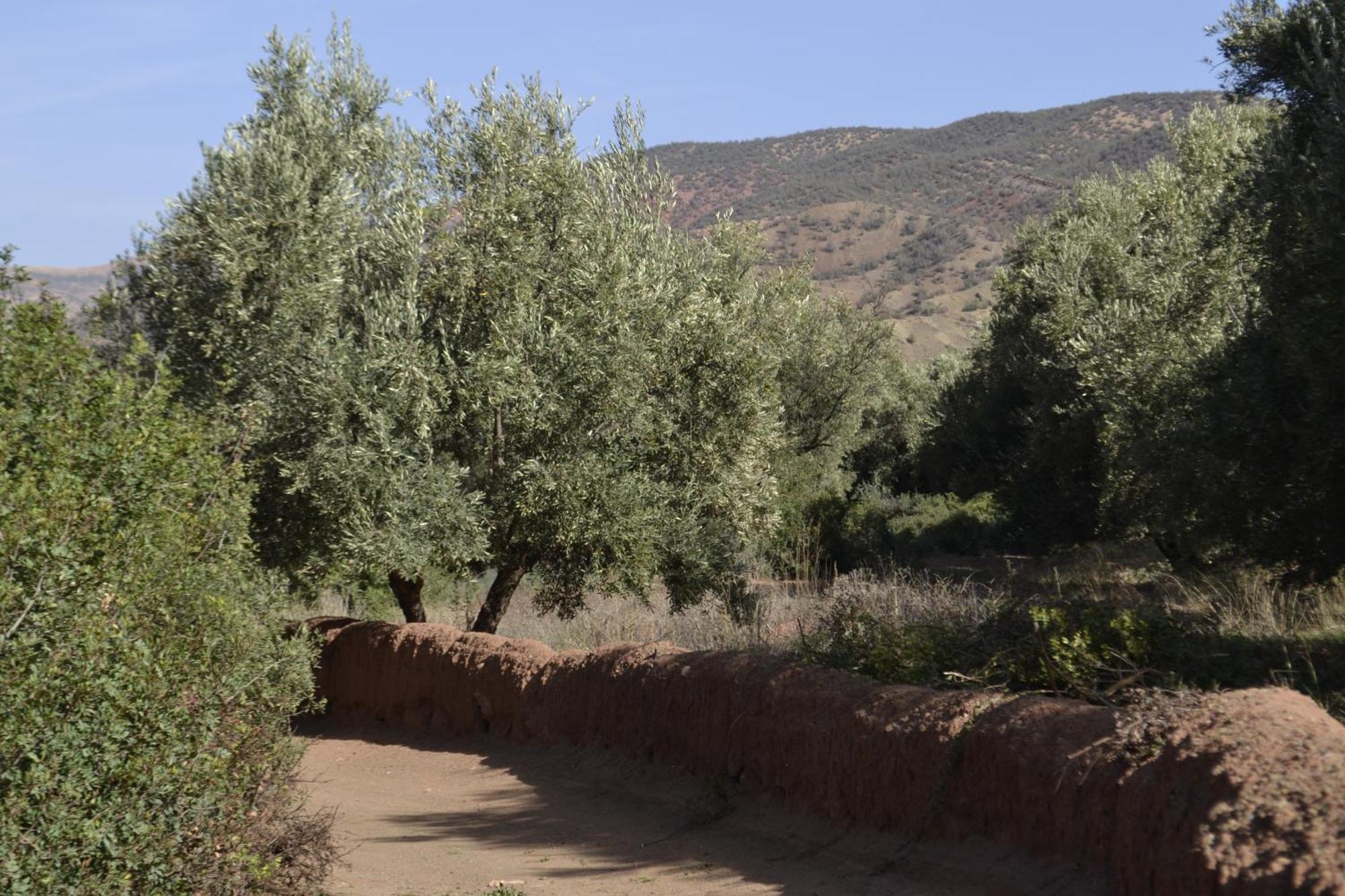 Villa Quince Ouirgane Dış mekan fotoğraf